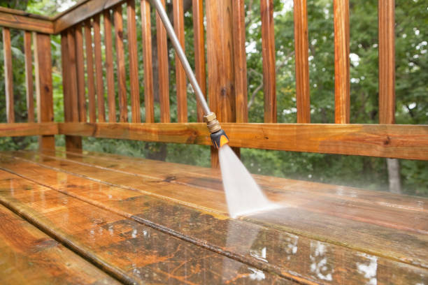 Best Animal Enclosure Cleaning  in Nashville, GA